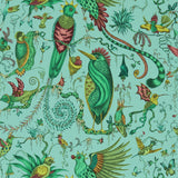 Clarke & Clarke QUETZAL AQUA WP Wallpaper