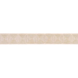 Schumacher Ivory Nautilina Embroidered Tape