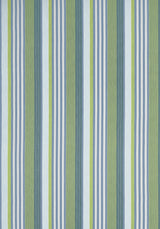 Thibaut Esprit Stripe Bermuda And Kiwi Fabric
