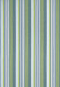 Thibaut Esprit Stripe Bermuda And Kiwi Fabric