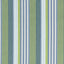 Thibaut Esprit Stripe Bermuda And Kiwi Fabric
