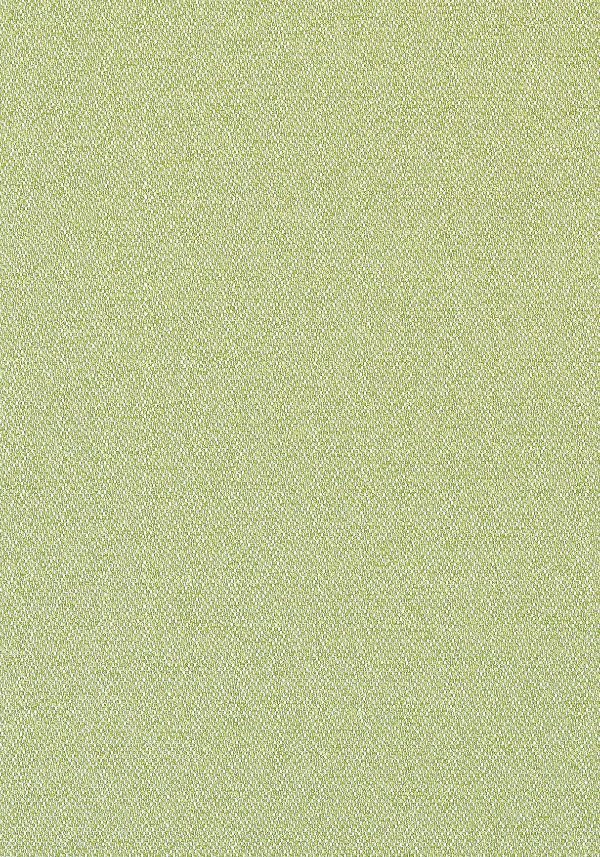 Thibaut Castaway Kiwi Fabric