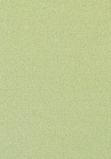 Thibaut Castaway Kiwi Fabric