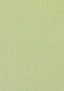 Thibaut Castaway Kiwi Fabric