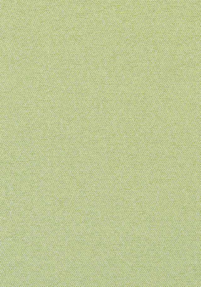 Thibaut Castaway Kiwi Fabric