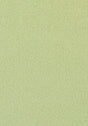 Thibaut Castaway Kiwi Fabric