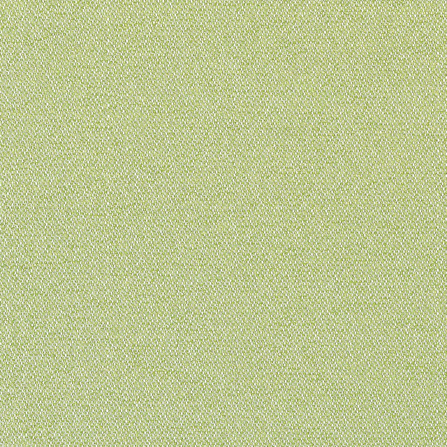 Thibaut Castaway Kiwi Fabric
