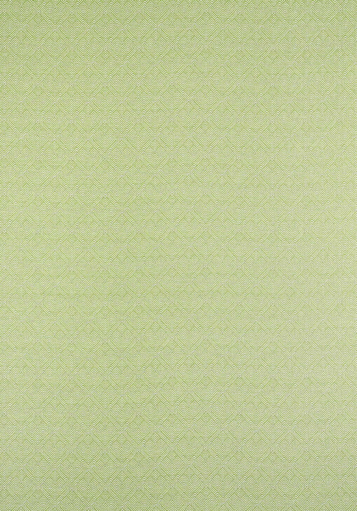 Thibaut Calista Kiwi Fabric