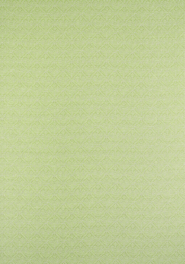 Thibaut Calista Kiwi Fabric