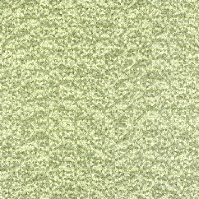 Thibaut Calista Kiwi Fabric