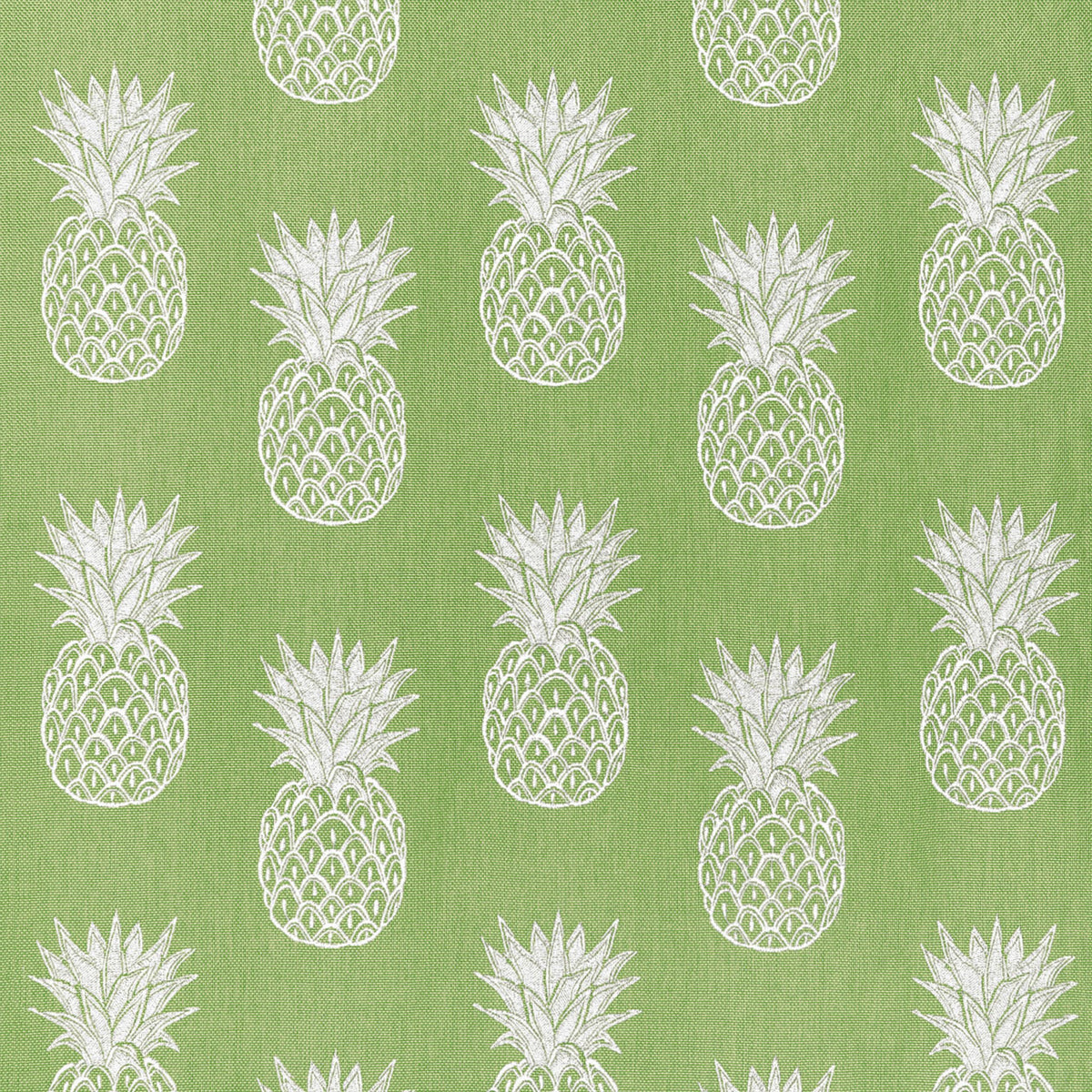 Thibaut Pina Colada Kiwi Fabric