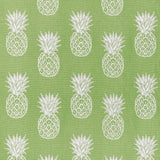 Thibaut Pina Colada Kiwi Fabric