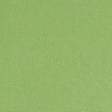 Thibaut Palmer Kiwi Fabric