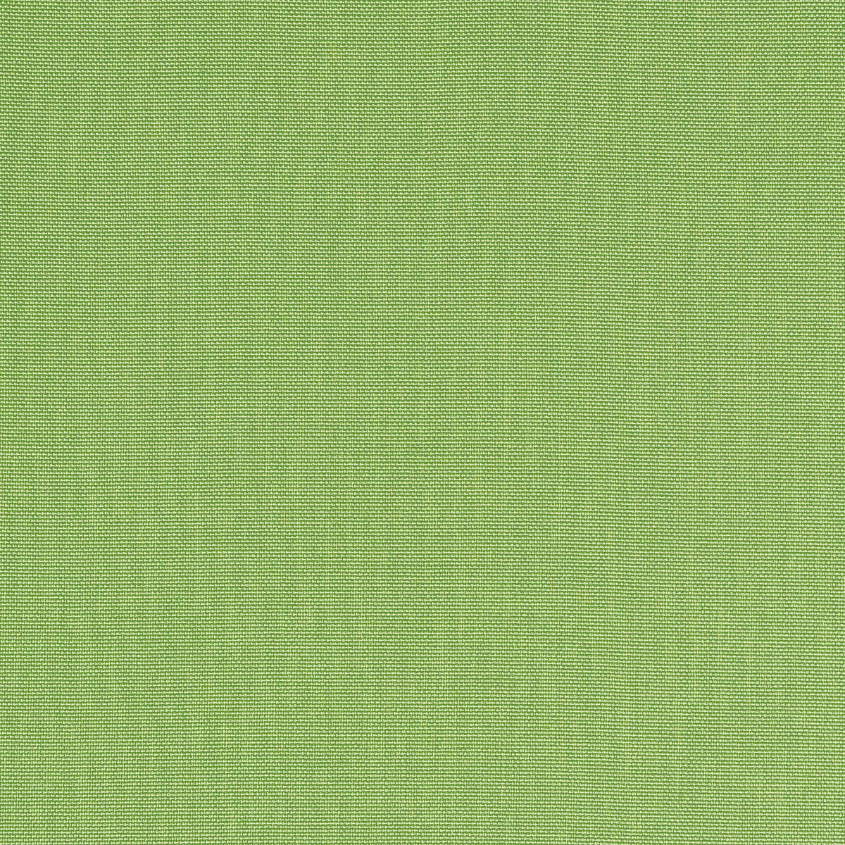 Thibaut Palmer Kiwi Fabric