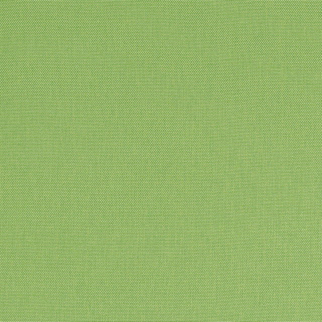 Thibaut Palmer Kiwi Fabric