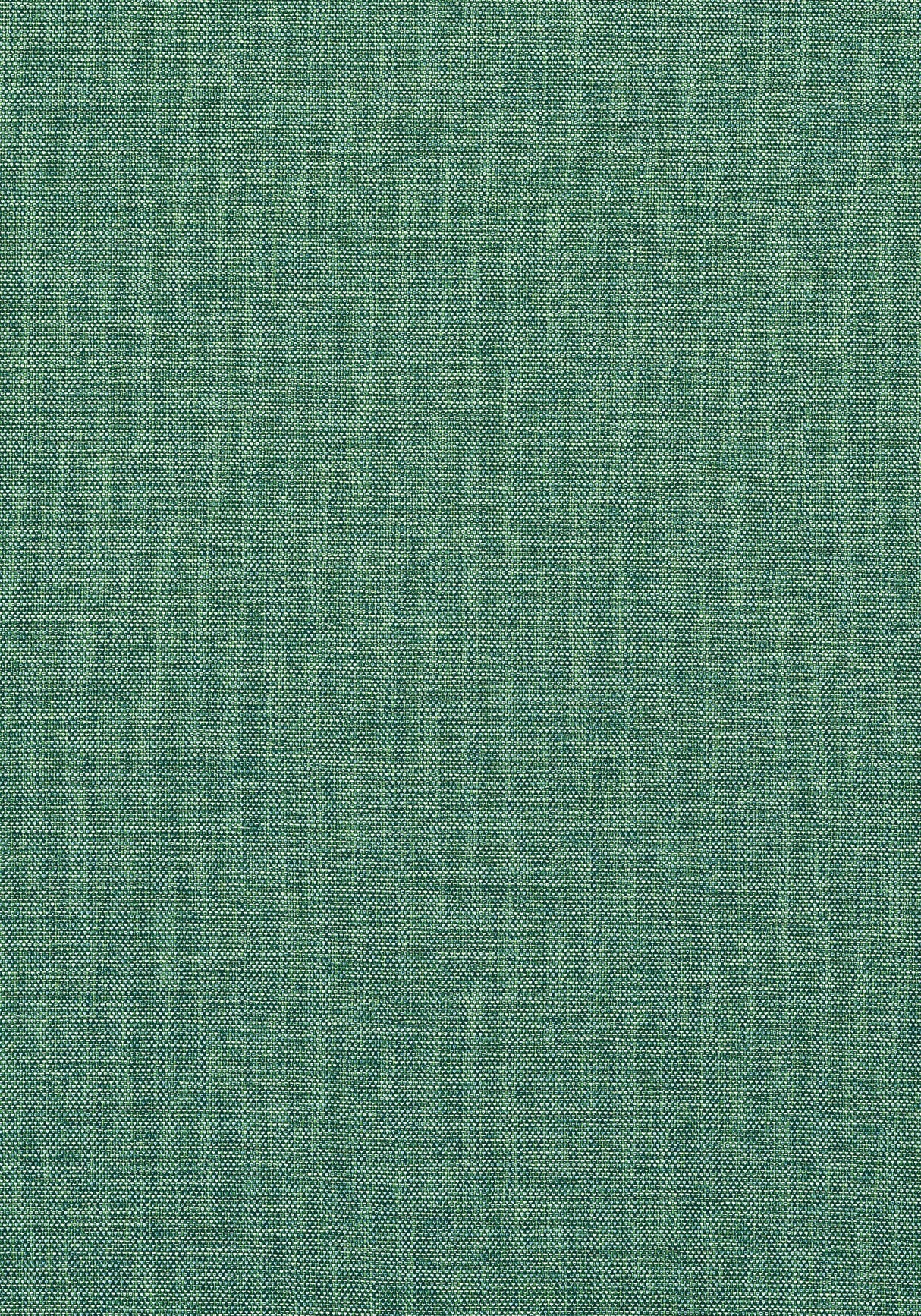 Thibaut Palmer Pine Fabric