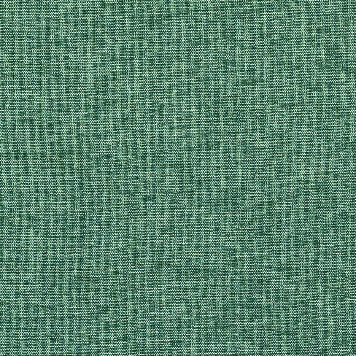 Thibaut Palmer Pine Fabric