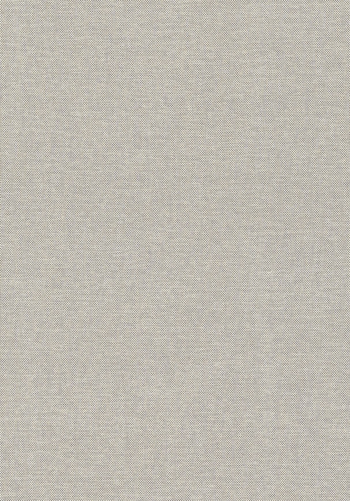 Thibaut Finn Smoke Fabric