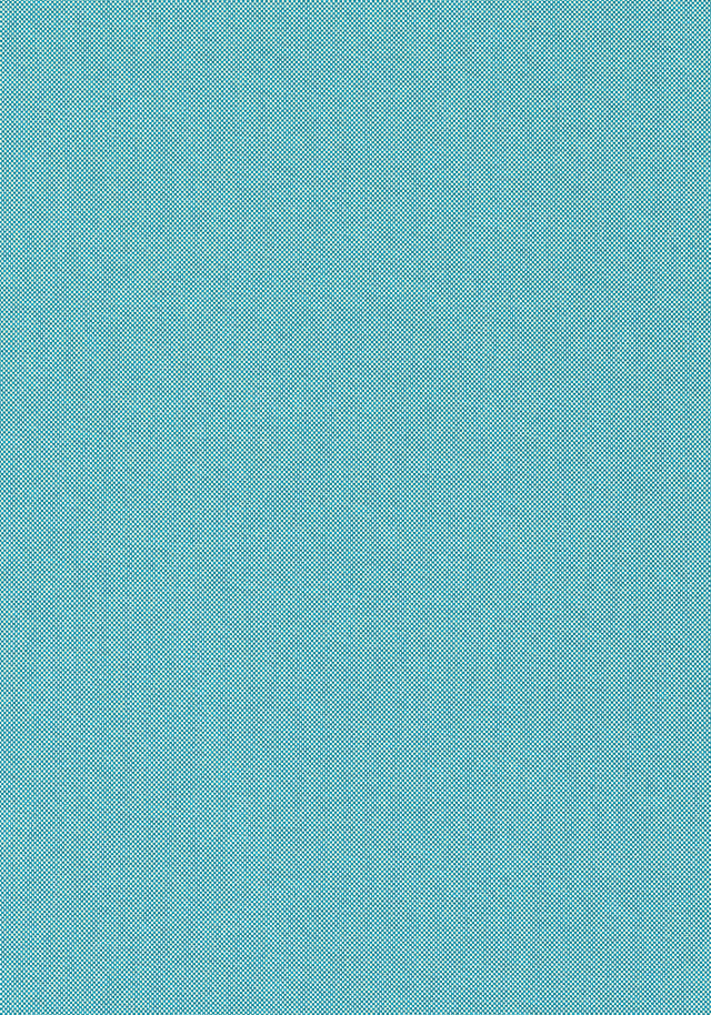 Thibaut Finn Turquoise Fabric