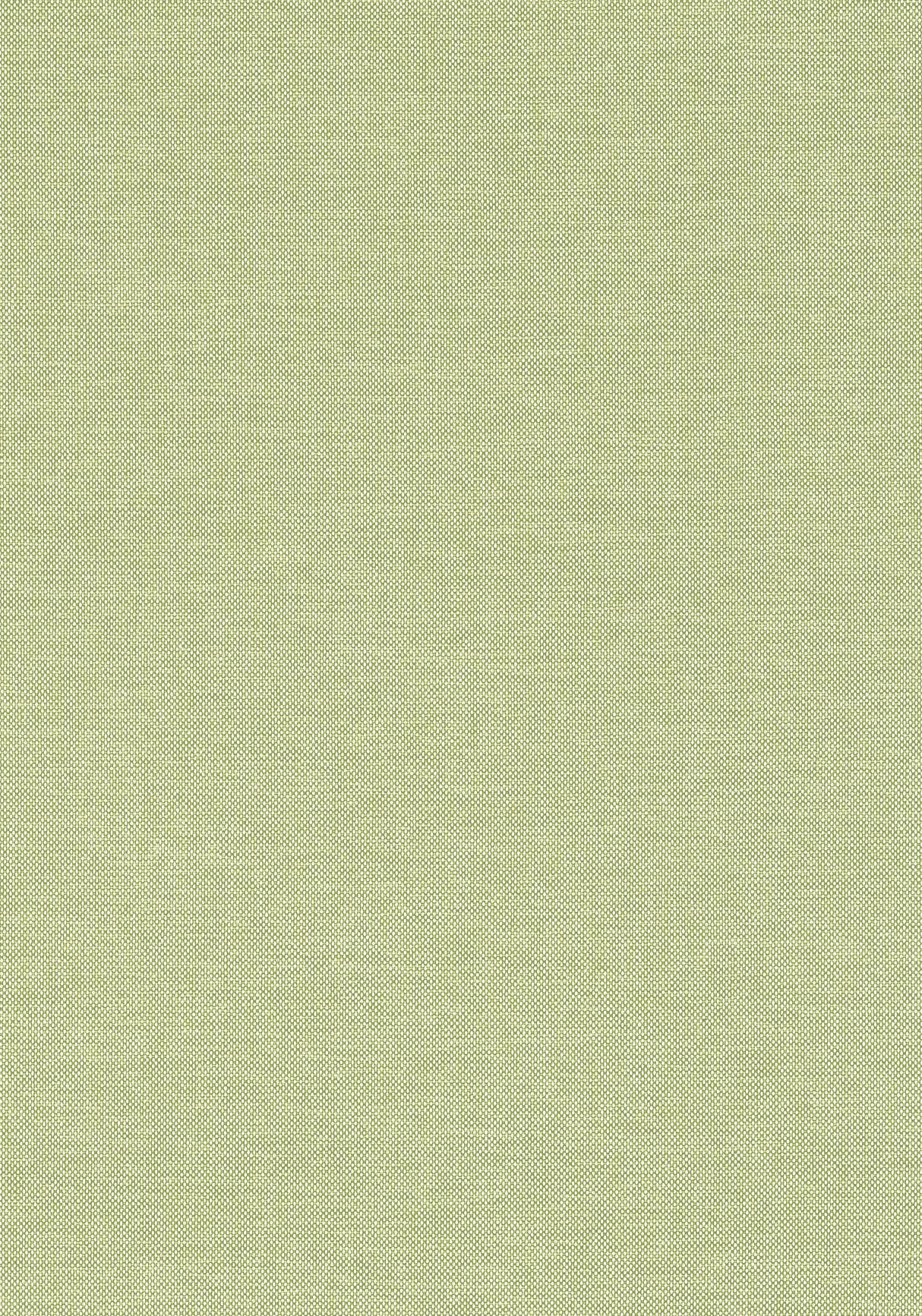 Thibaut Finn Kiwi Fabric