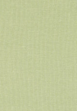 Thibaut Finn Kiwi Fabric
