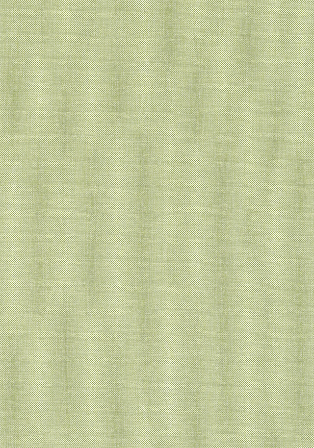 Thibaut Finn Kiwi Fabric