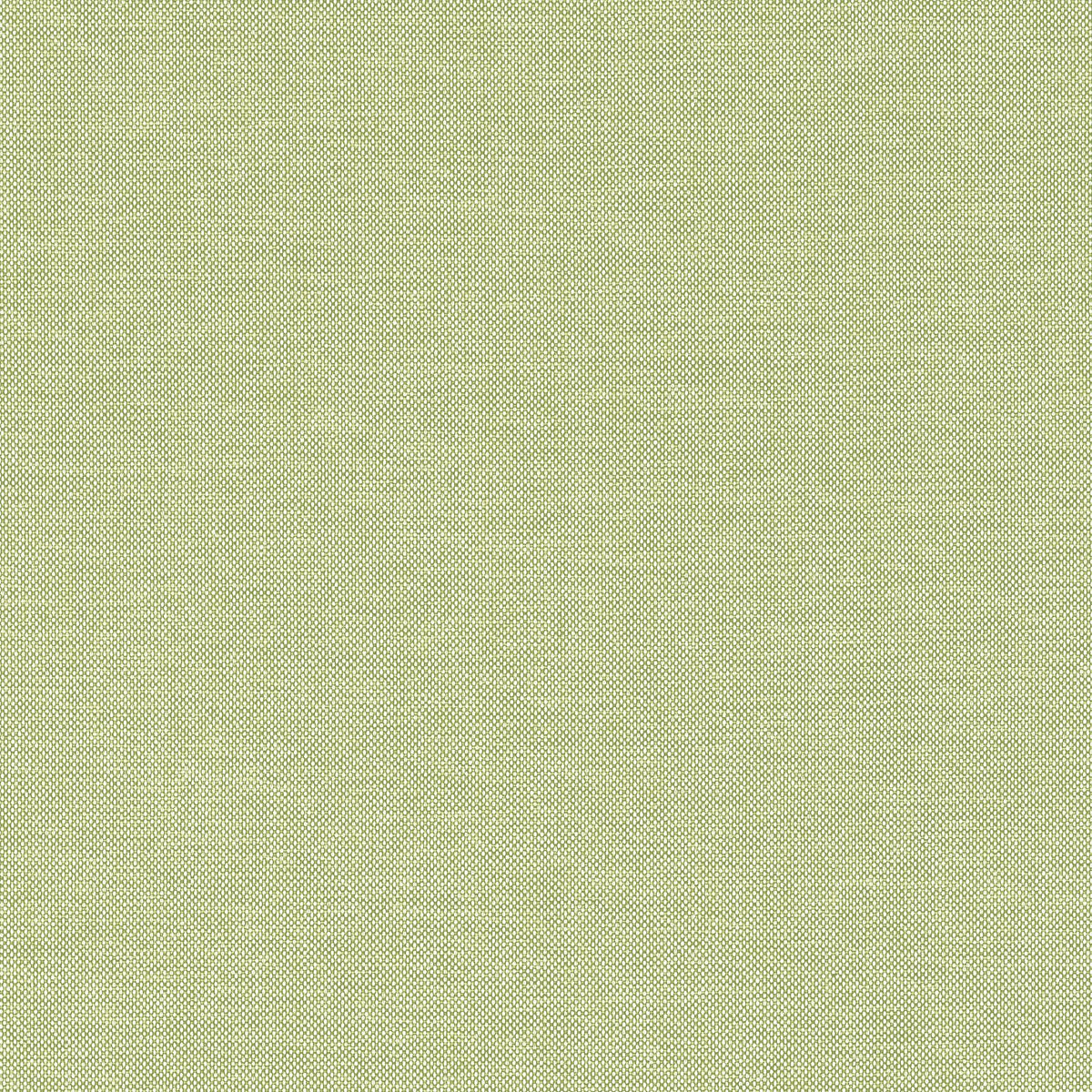 Thibaut Finn Kiwi Fabric