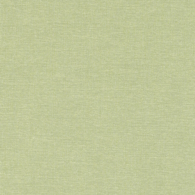 Thibaut Finn Kiwi Fabric
