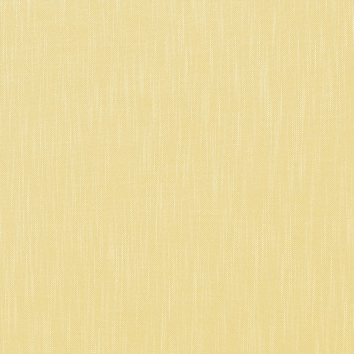 Thibaut Bristol Lemon Fabric