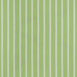 Thibaut Seaside Stripe Kiwi Fabric