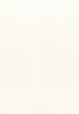 Thibaut Salta Ivory Fabric