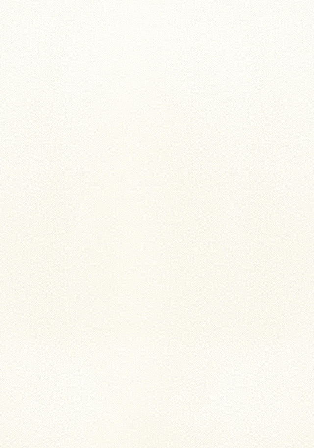 Thibaut Salta Ivory Fabric