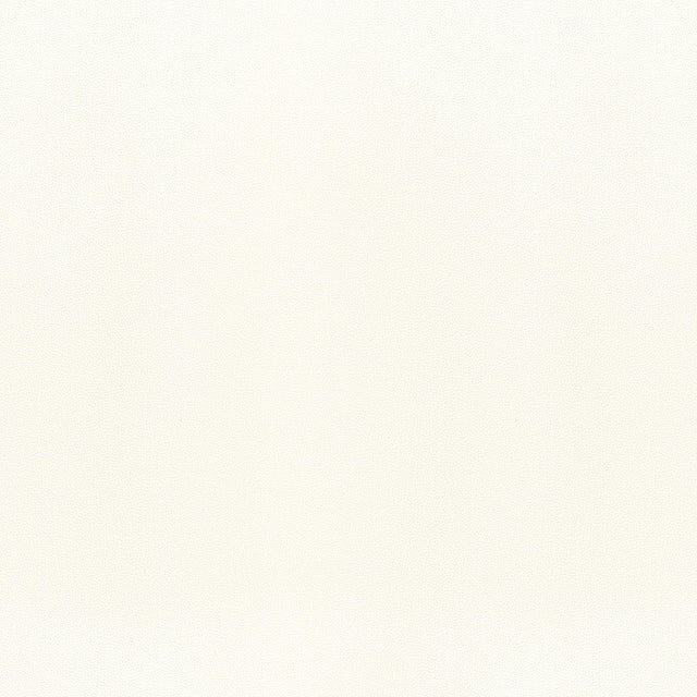 Thibaut Salta Ivory Fabric