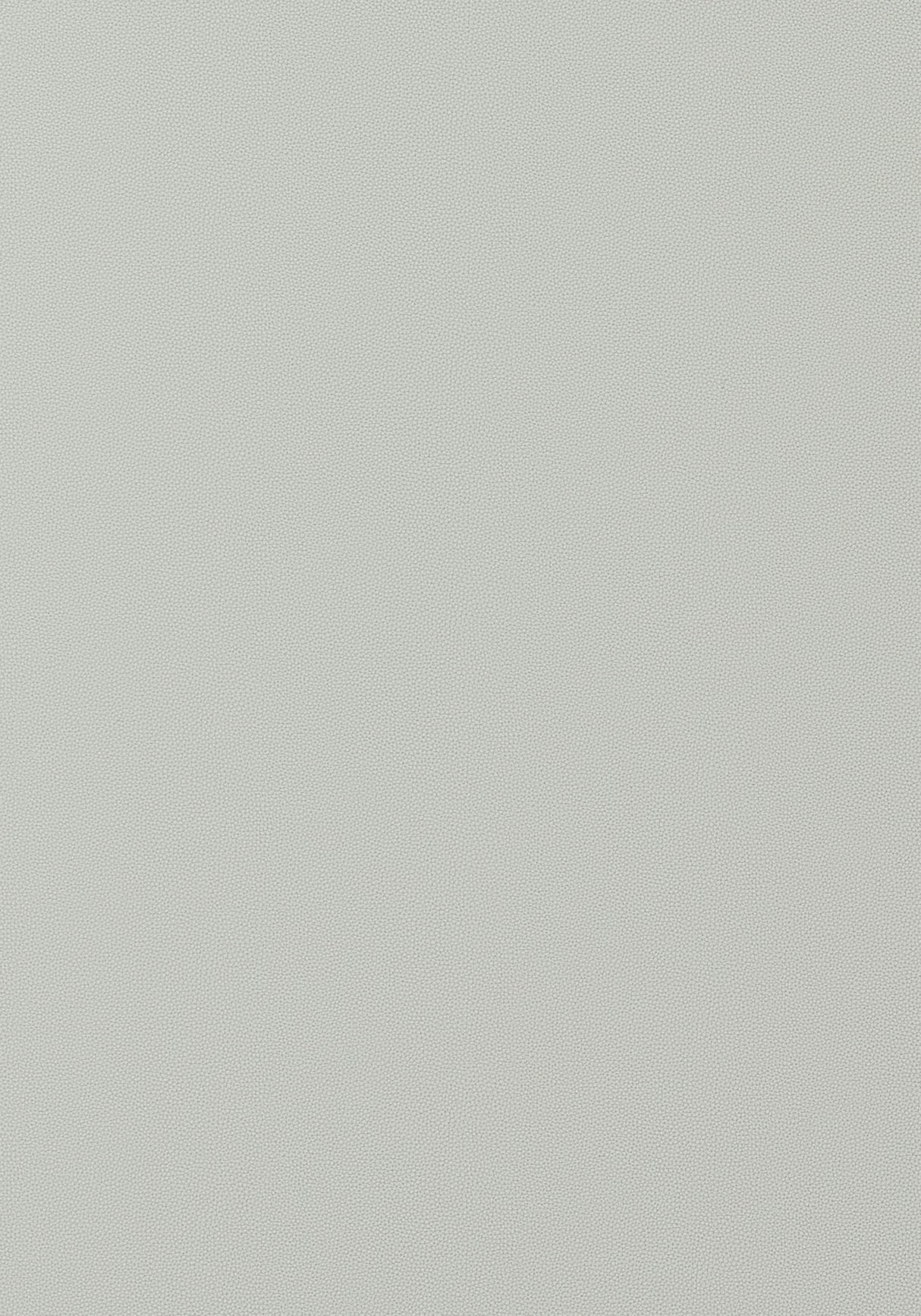 Thibaut Salta Mist Fabric