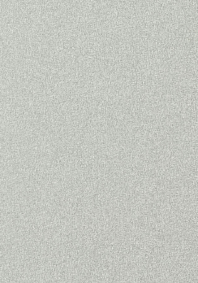 Thibaut Salta Mist Fabric