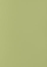Thibaut Salta Apple Fabric