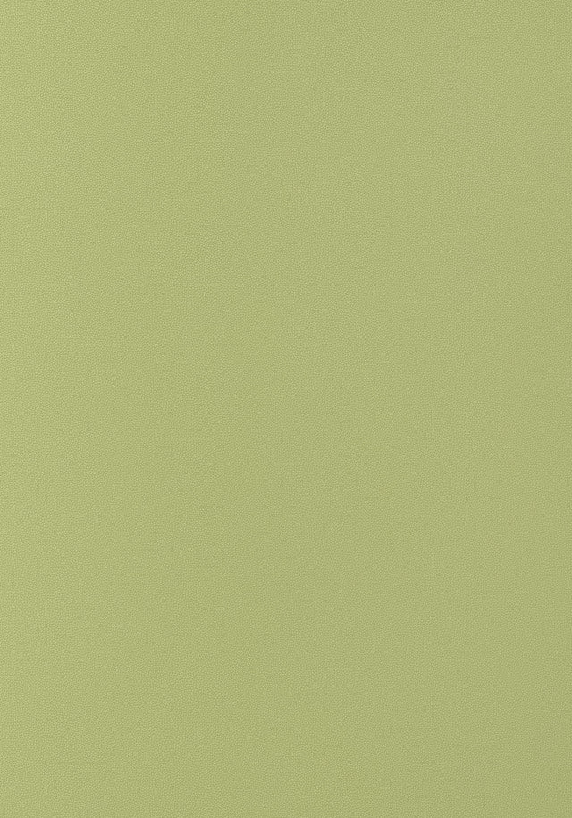 Thibaut Salta Apple Fabric