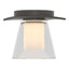Hubbardton Forge 2010 Dark Smoke Clear Glass with Opal Diffuser (ZU) Wren Flush Mount
