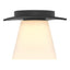 Hubbardton Forge 2010 Black Opal Glass (GG) Wren Flush Mount