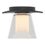 Hubbardton Forge 2010 Black Clear Glass with Opal Diffuser (ZU) Wren Flush Mount
