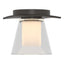 Hubbardton Forge 2010 Oil Rubbed Bronze Clear Glass with Opal Diffuser (ZU) Wren Flush Mount