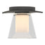 Hubbardton Forge 2010 Natural Iron Clear Glass with Opal Diffuser (ZU) Wren Flush Mount