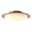 Hubbardton Forge 2017 Modern Brass Opal Glass (GG) Oceanus Semi-flush