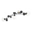 Hubbardton Forge 2019 Black Water Glass (LL) Sprig Semi-Flush