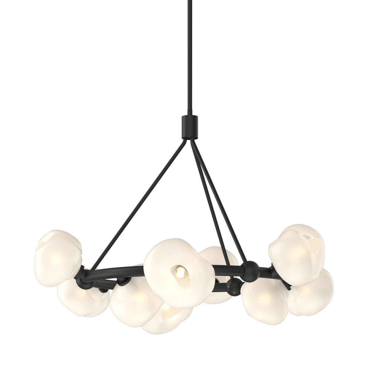 Hubbardton Forge 2023 Black Frosted Glass (FD) Multi Ume 9-Light Ring Pendant