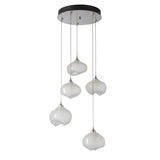 Hubbardton Forge 2023 Sterling Frosted Glass (FD) Long Ume 5-Light Pendant