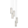 Hubbardton Forge 2023 Dark Smoke Opal Glass (GG) Long Exos Glass 5-Light Pendant