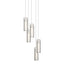 Hubbardton Forge 2023 Dark Smoke Opal Glass (GG) Long Exos Glass 5-Light Pendant