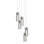 Hubbardton Forge 2023 Dark Smoke Clear Glass (ZM) Long Exos Glass 5-Light Pendant