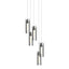 Hubbardton Forge 2023 Black Clear Glass (ZM) Long Exos Glass 5-Light Pendant